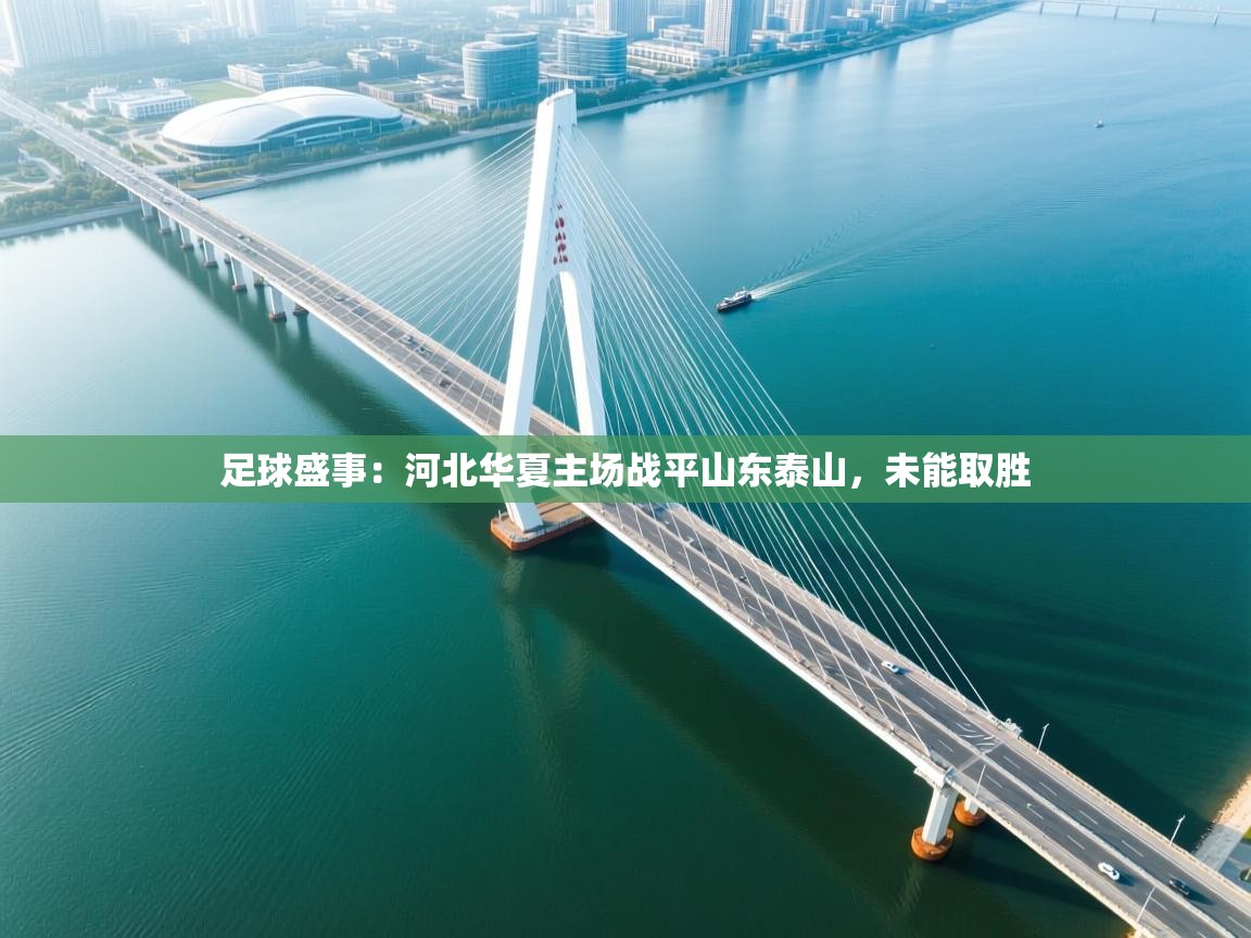 开云体育app下载官网-足球盛事：河北华夏主场战平山东泰山，未能取胜  第1张