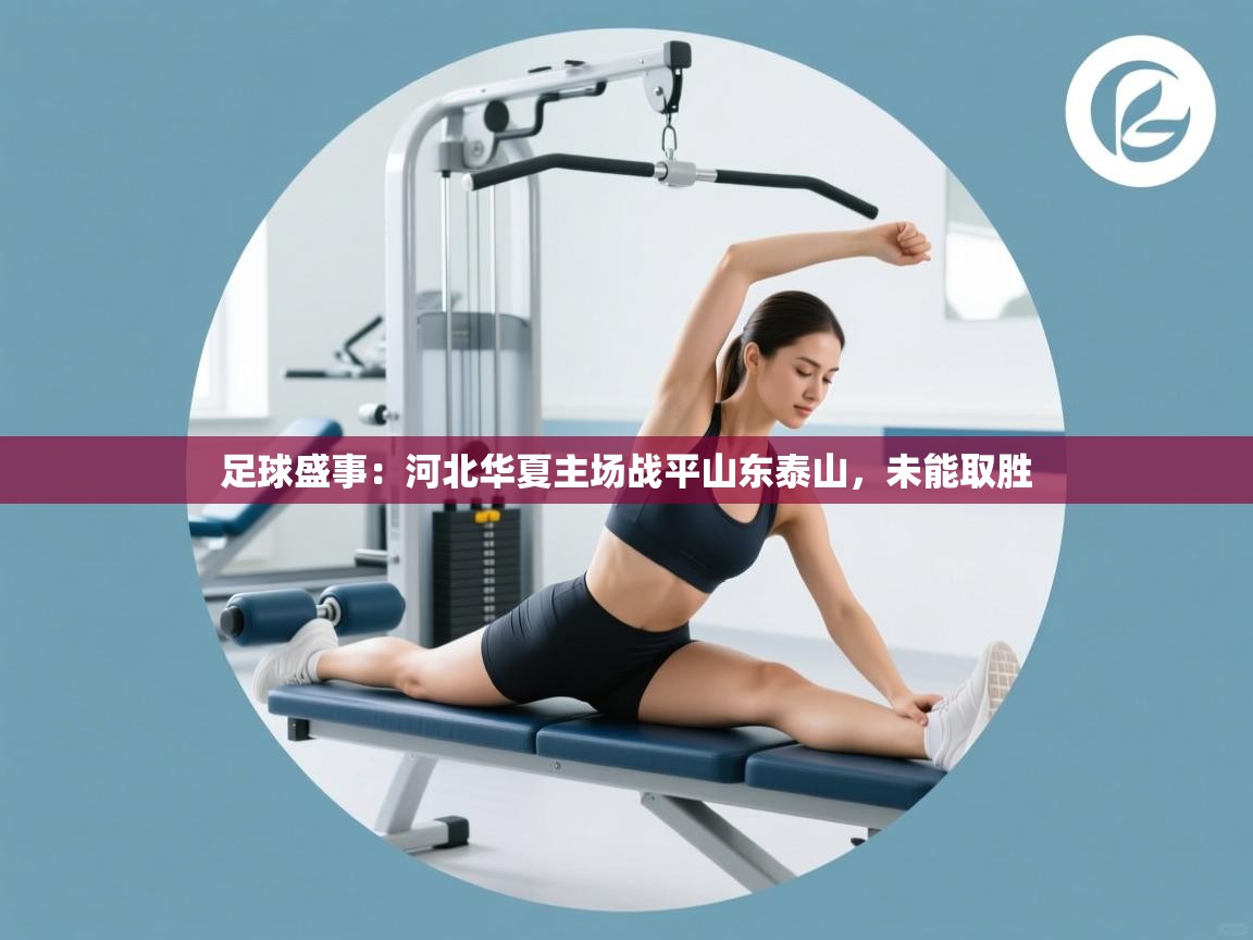 开云体育app下载官网-足球盛事：河北华夏主场战平山东泰山，未能取胜  第3张