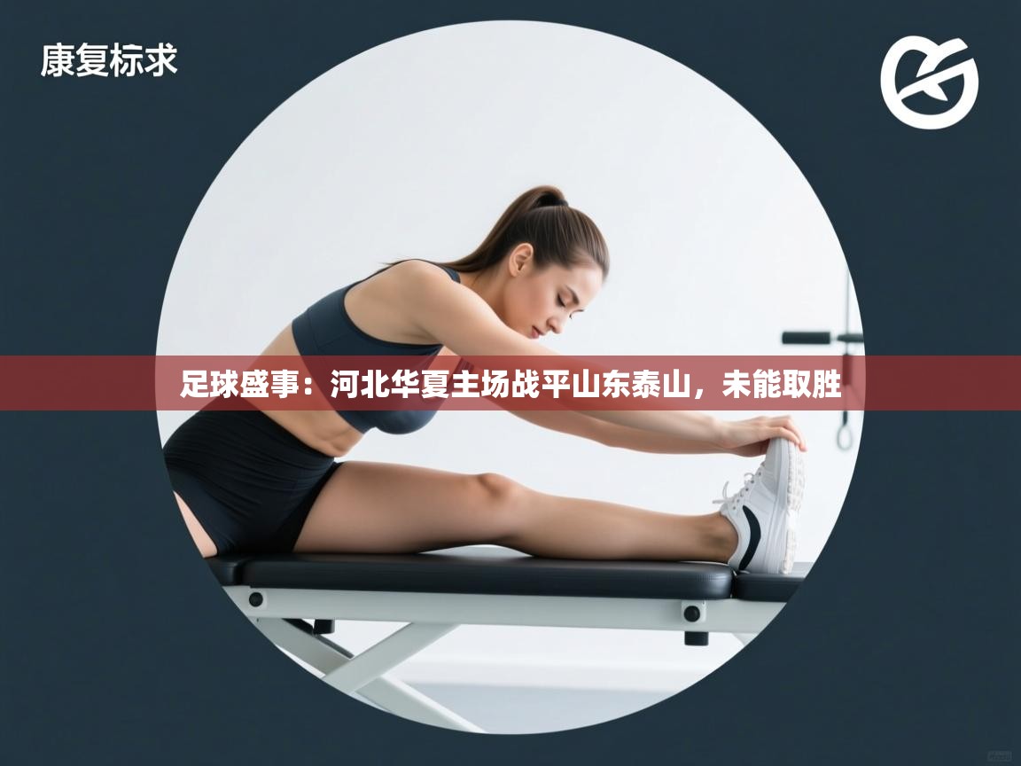 开云体育app下载官网-足球盛事：河北华夏主场战平山东泰山，未能取胜  第4张